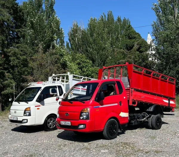 Загрузка мебели в портер